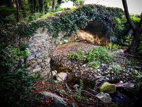 San Martinu ! Divizia ! San Martinu ! Divizia !