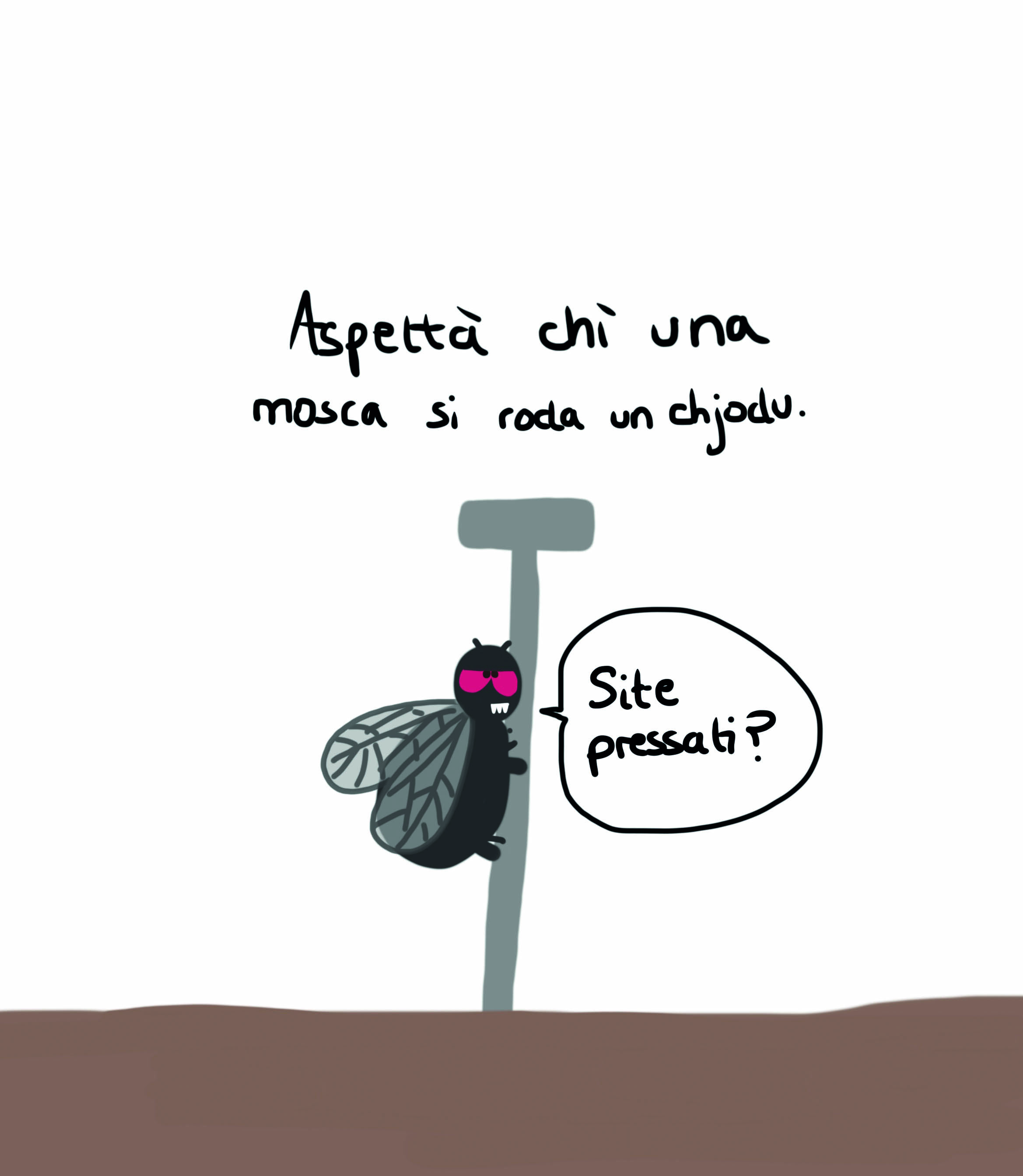 Spressione è pruverbii corsi illustrati da Lawra