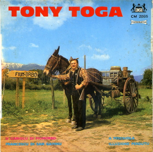 Hè mortu Tony Toga