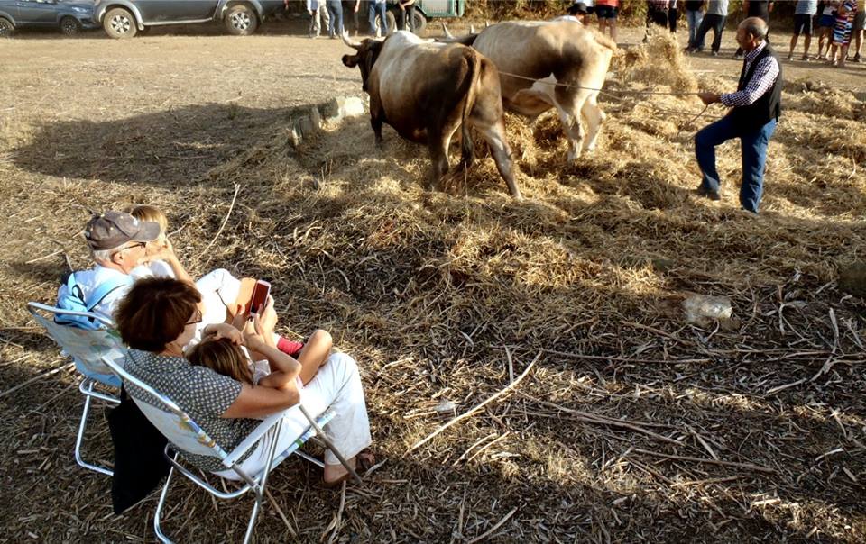 Truvate una legenda à stu ritrattu Truvate una legenda à stu ritrattu