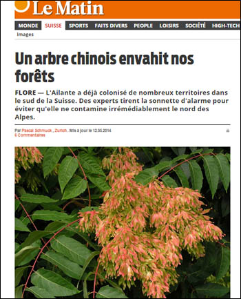 Ponu e seghe ghjuvà à qualcosa ? Ponu e seghe ghjuvà à qualcosa ?