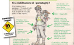 Riabilitemu i pumataghji !