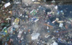 Dop'à a suppa di musu, a suppa di plasticu