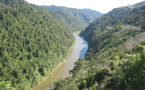 Whanganui : u fiume chì hè diventatu una persona