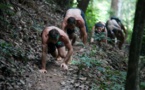 Attenti, ghjunghje u "paléo-fitness"