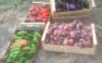 Perchè dumane seremu tutti agricultori