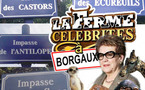 Ville de Borgaux o Zoo de Borgaux ?