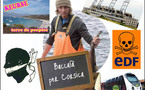 700 anni di baccalà 700 anni di baccalà