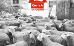 Semu salvi, hè ghjuntu Quick Semu salvi, hè ghjuntu Quick