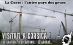 In Corsica ci hè di più "grues" ch'è stàntare
