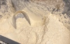 Qualesse seranu e 22 sòsule tradiziunale cù a castagna ?