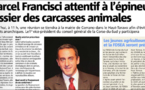 A suluzione di Francisci pè a crisa à l'UMP