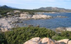 In Corsica ùn avemu micca petroliu, ma avemu u bettonu