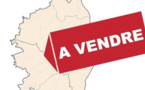 "Quatre ventes sur cinq se font aujourd'hui à des non-Corses"