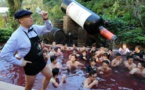Beaujolais : nò, ùn site micca obligati di fà cum'è tuttu u mondu