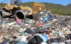 Cumu a Corsica hè diventata l'isula di u mullizzu