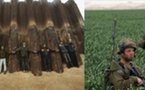 Catena zitellina in Gaza