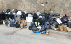 Grazia à u mullizzu, 2016 serà l'annata di u topu