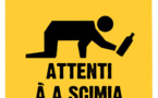 Principia l'annu di a scimia