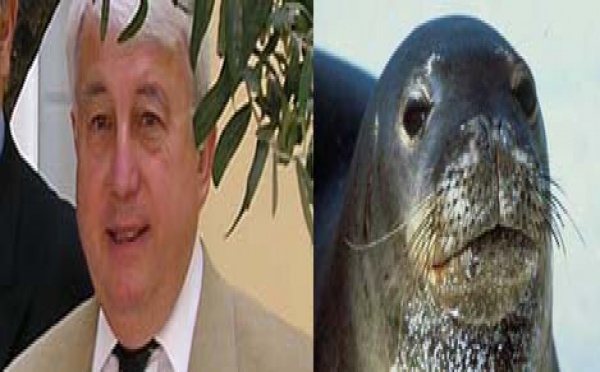 Pè Jérôme Polverini, ùn ci hè micca abbastanza vechji in Corsica