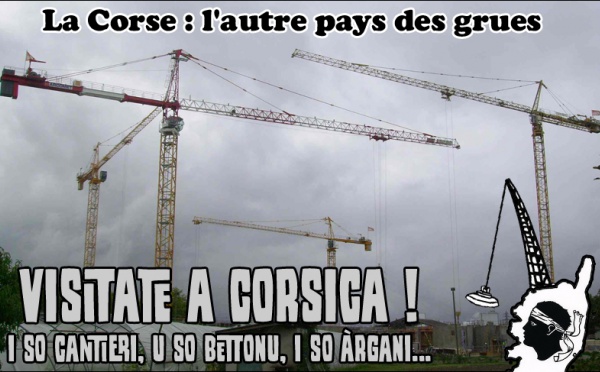In Corsica ci hè di più "grues" ch'è stàntare