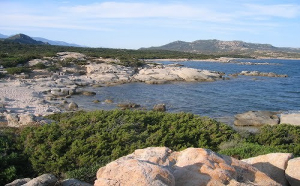 In Corsica ùn avemu micca petroliu, ma avemu u bettonu