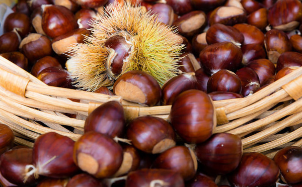 47 shades of castagne