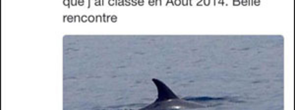 "L'emploi du temps très chargé" di Ségolène Royal