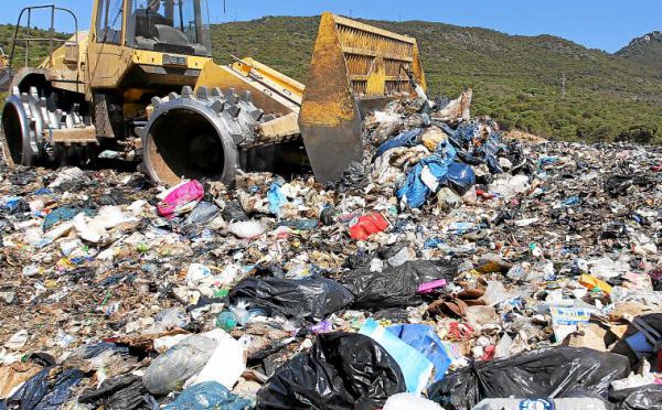 Cumu a Corsica hè diventata l'isula di u mullizzu