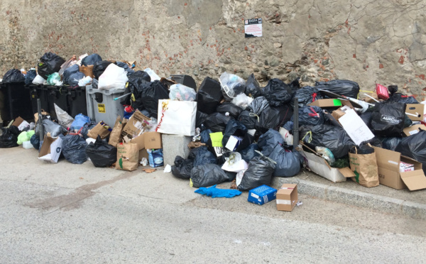Grazia à u mullizzu, 2016 serà l'annata di u topu