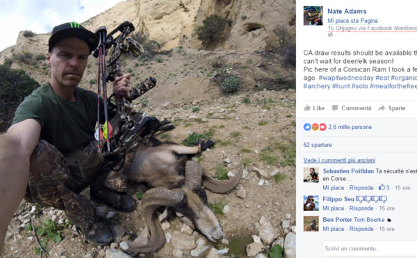 Calmemuci ! Ùn hè micca una muvra corsa